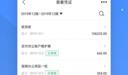 柠檬云财务软件